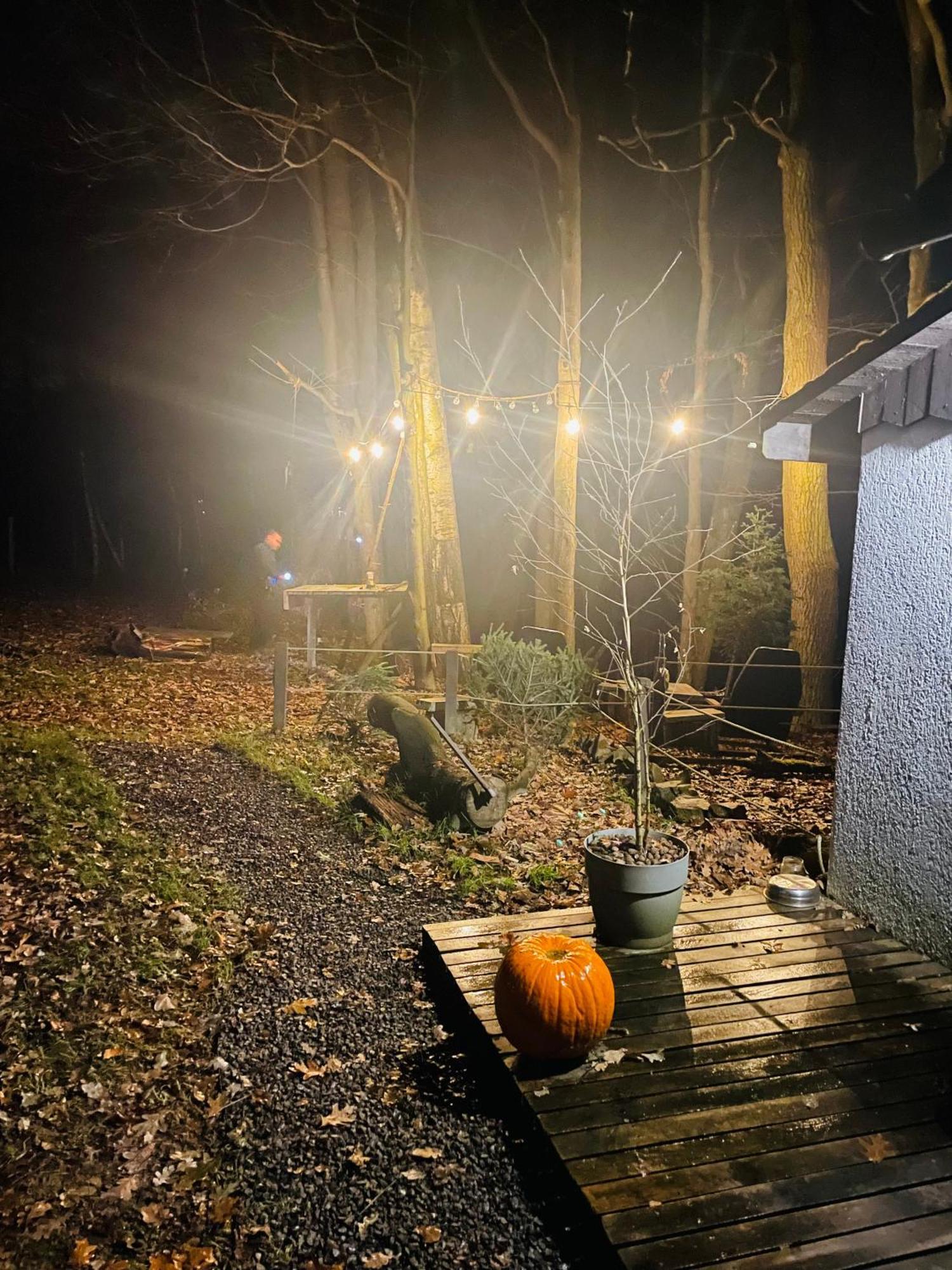 Lodge Romantyczna